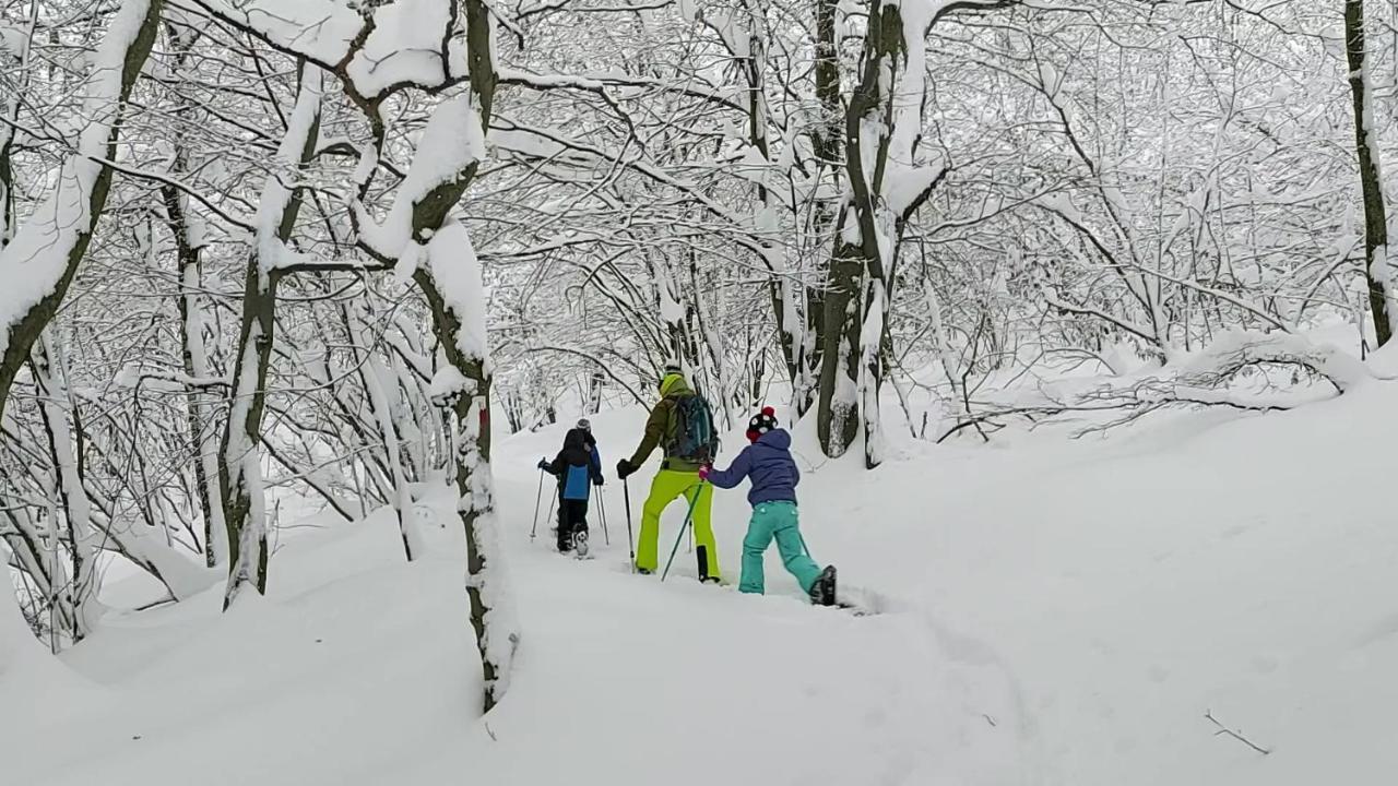 Gran Paradiso Alpette Extérieur photo